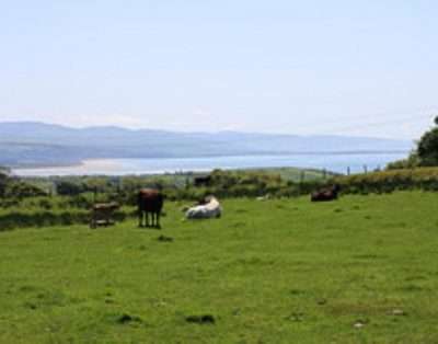 Llwyn Mafon Isaf