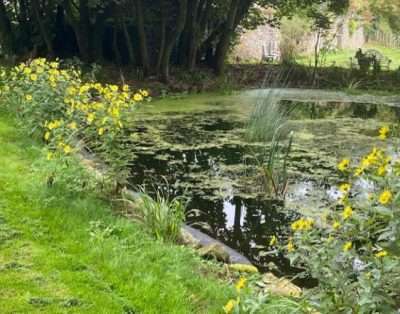 Hael Farm Holiday Cottage