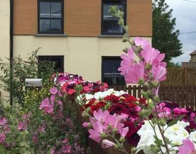 Willow Mews