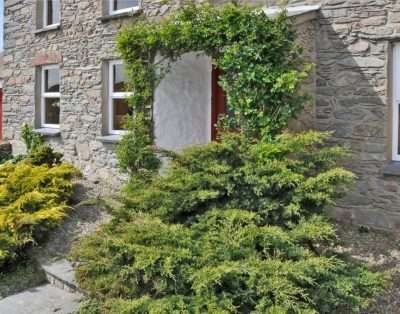 Treleddyn Farmhouse Rental