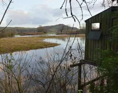 Bryn Hebog B and B