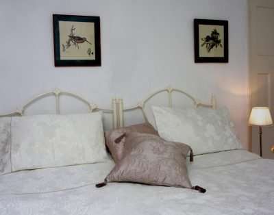 Fferm y Felin B&B and Holiday Cottages