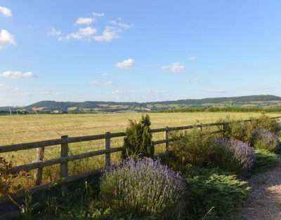Steppes Farm Cottages