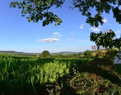 Steppes Farm Cottages