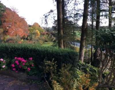Tan Y Graig Bed and Breakfast