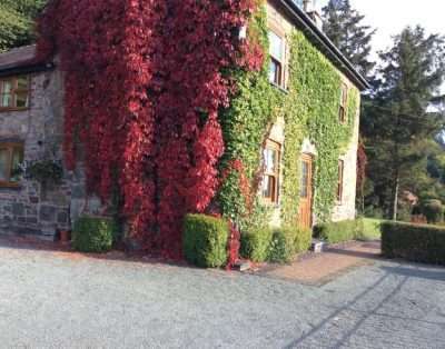 Tan Y Graig Bed and Breakfast