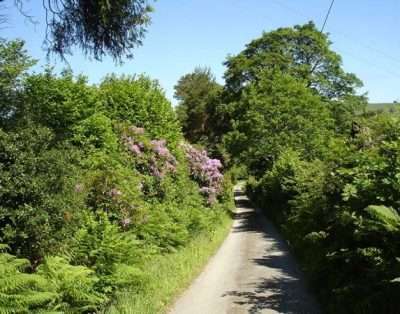 The Clochfaen Guest House