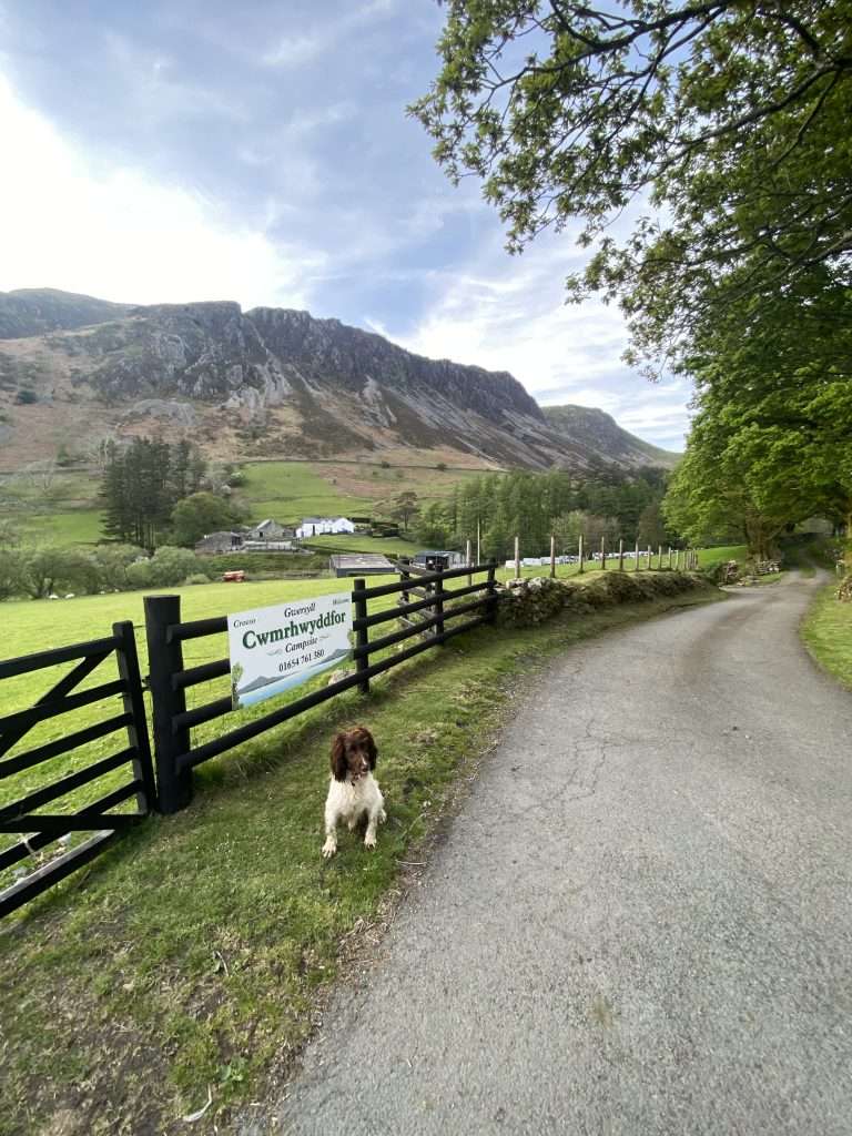 Cwmrhwyddfor Farm Touring Park Campsite Tal-y-Llyn, Snowdonia