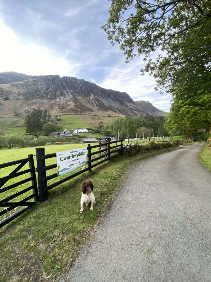 Cwmrhwyddfor Farm Touring Park Campsite Tal-y-Llyn, Snowdonia