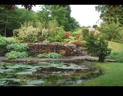 Bryn Melyn Farm B&B Accommodation & Cottages