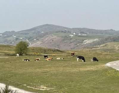 Bryn Y Mor Holiday Cottage