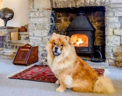 Whitewalls Holiday Cottage