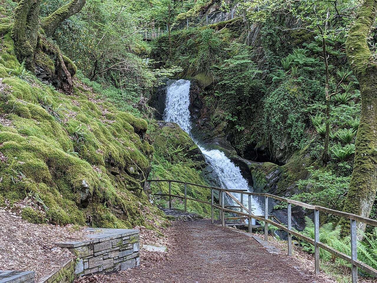 Dolgoch Falls tumbling through a wooded ravine near Tywyn, southern Eryri (Snowdonia)