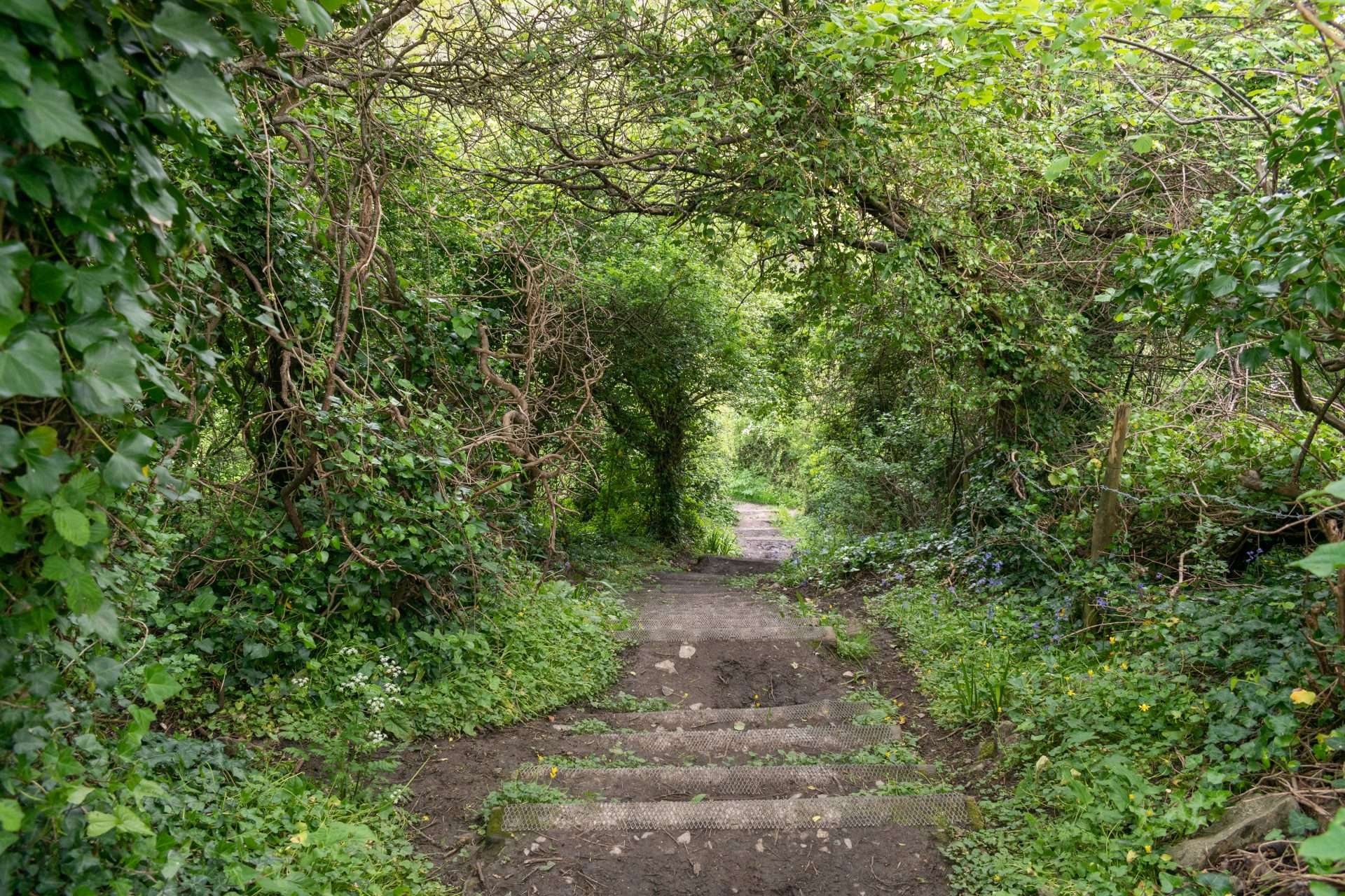 Vale of Glamorgan, Wales