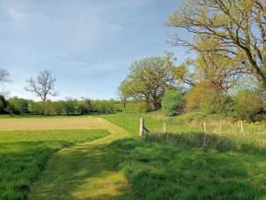 Bishops Meadow Holiday Park